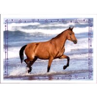 Sticker 27 - Blue Ocean - Horse Club Lieblingspferde