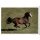 Sticker 28 - Blue Ocean - Horse Club Lieblingspferde