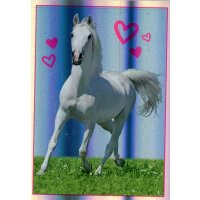 Sticker 33 - Blue Ocean - Horse Club Lieblingspferde