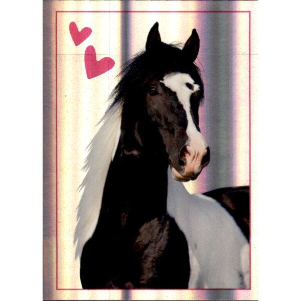 Sticker 48 - Blue Ocean - Horse Club Lieblingspferde