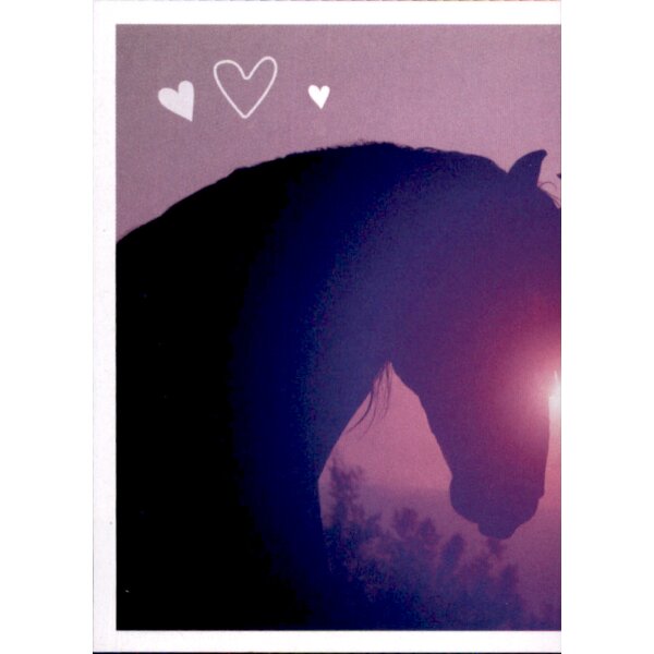 Sticker 58 - Blue Ocean - Horse Club Lieblingspferde