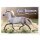 Sticker 61 - Blue Ocean - Horse Club Lieblingspferde