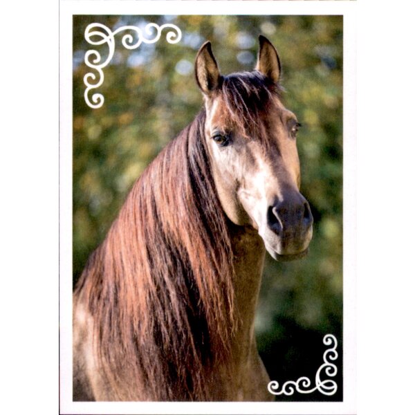 Sticker 62 - Blue Ocean - Horse Club Lieblingspferde