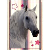 Sticker 78 - Blue Ocean - Horse Club Lieblingspferde