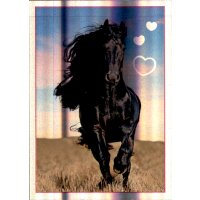 Sticker 81 - Blue Ocean - Horse Club Lieblingspferde
