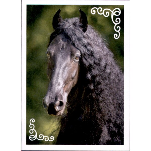 Sticker 86 - Blue Ocean - Horse Club Lieblingspferde