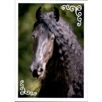 Sticker 86 - Blue Ocean - Horse Club Lieblingspferde