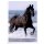 Sticker 87 - Blue Ocean - Horse Club Lieblingspferde