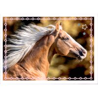 Sticker 92 - Blue Ocean - Horse Club Lieblingspferde