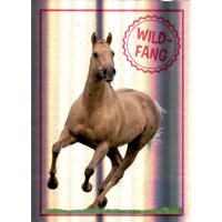 Sticker 95 - Blue Ocean - Horse Club Lieblingspferde
