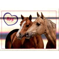 Sticker 96 - Blue Ocean - Horse Club Lieblingspferde