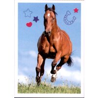 Sticker 97 - Blue Ocean - Horse Club Lieblingspferde