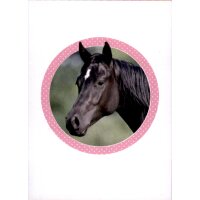 Sticker 98 - Blue Ocean - Horse Club Lieblingspferde