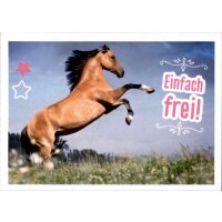 Sticker 100 - Blue Ocean - Horse Club Lieblingspferde