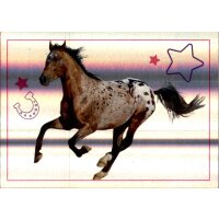 Sticker 104 - Blue Ocean - Horse Club Lieblingspferde