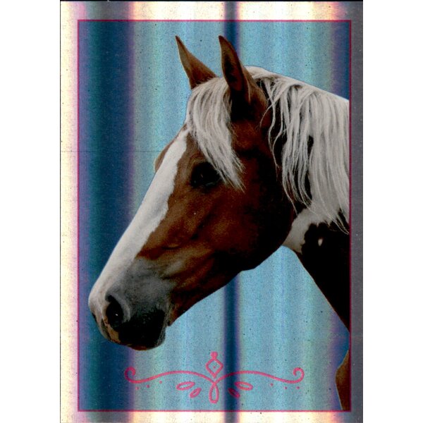 Sticker 113 - Blue Ocean - Horse Club Lieblingspferde