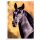 Sticker 114 - Blue Ocean - Horse Club Lieblingspferde