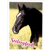 Sticker 122 - Blue Ocean - Horse Club Lieblingspferde