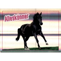 Sticker 123 - Blue Ocean - Horse Club Lieblingspferde