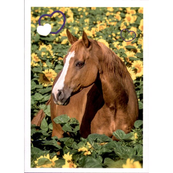 Sticker 135 - Blue Ocean - Horse Club Lieblingspferde