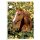 Sticker 135 - Blue Ocean - Horse Club Lieblingspferde