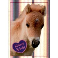 Sticker 139 - Blue Ocean - Horse Club Lieblingspferde