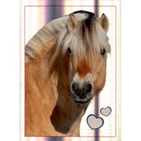 Sticker 154 - Blue Ocean - Horse Club Lieblingspferde