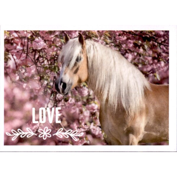 Sticker 167 - Blue Ocean - Horse Club Lieblingspferde