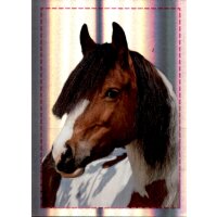 Sticker 173 - Blue Ocean - Horse Club Lieblingspferde