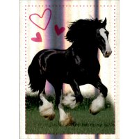 Sticker 182 - Blue Ocean - Horse Club Lieblingspferde