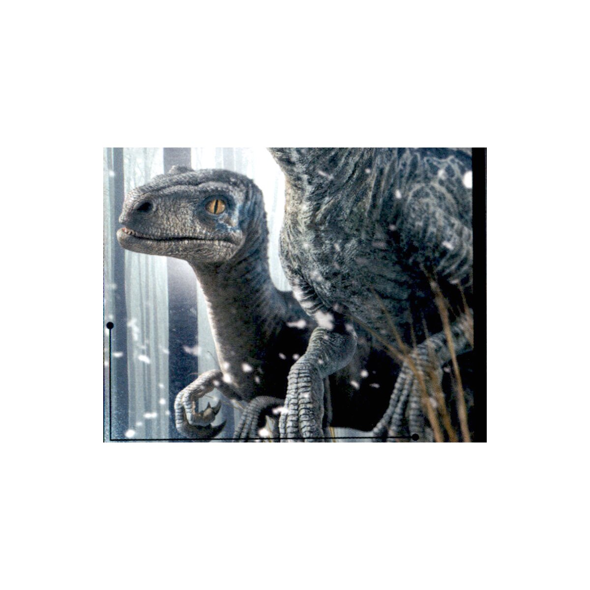 Sticker 24 Jurassic World Dominion Ein Neues Zeitalter 039 3801