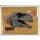 Sticker 66 - Jurassic World Dominion - Ein neues Zeitalter