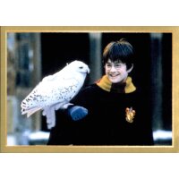 Sticker 13 - Harry Potter - Anthology