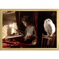 Sticker 35 - Harry Potter - Anthology