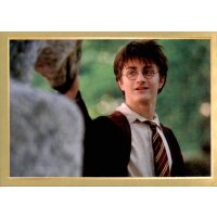 Sticker 53 - Harry Potter - Anthology