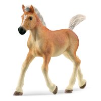 Schleich Horse Club 13951 - Haflinger Fohlen