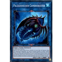 MP22-DE088 - Paläozoischer Cambroraster - 1. Auflage