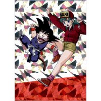 D003 - Bulma/Son-Goku - 2022