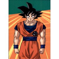 S016 - Son-Goku - 2022