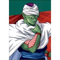 S024 - Piccolo - 2022