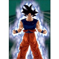 S050 - Son-Goku Ultra-Instinkt-Zeichen - 2022