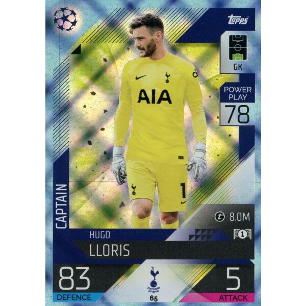 65 - Hugo Lloris - CRYSTAL - 2022/2023