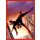 Sticker 5 - The Amazing Spider-Man - 2022