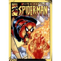 Karte C41 - The Amazing Spider-Man - 2022