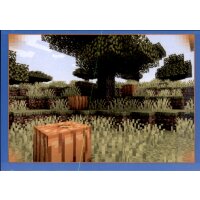 Sticker 173 - Minecraft - Wonderful World