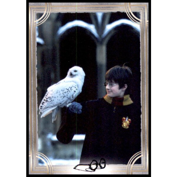 4 - Harry Potter - Trading Cards - 2022