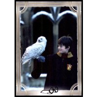 4 - Harry Potter - Trading Cards - 2022