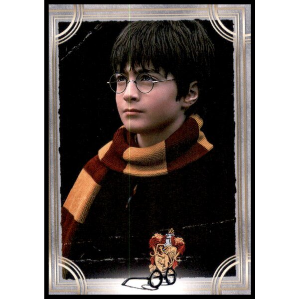 6 - Harry Potter - Trading Cards - 2022