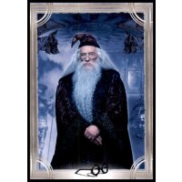 11 - Harry Potter - Trading Cards - 2022