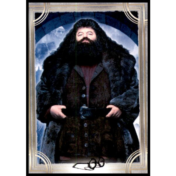 15 - Harry Potter - Trading Cards - 2022